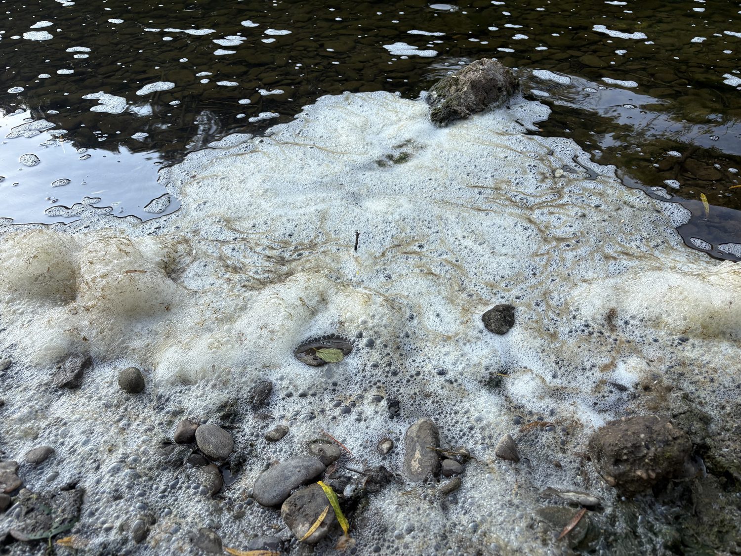 Foam collecting along the bank at Bigsweir