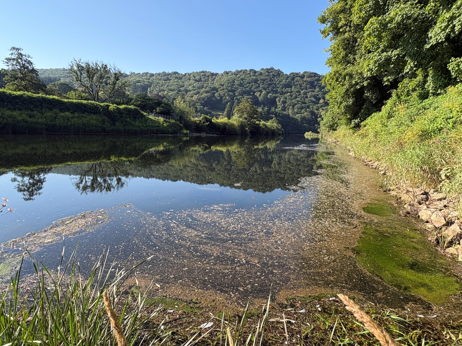The river following an overflow from the St Briavels pipe