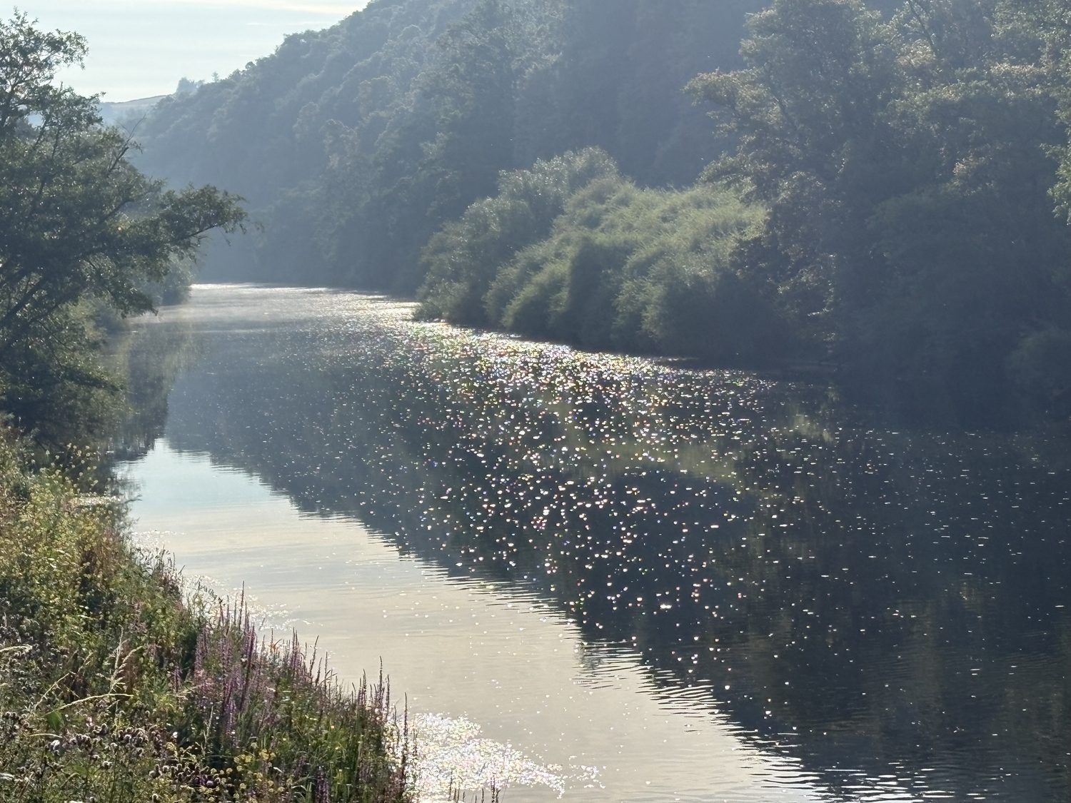 A ribbon of foam down the Wye at Llandogo, early morning