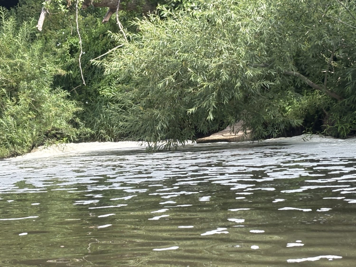 Foam discharging from the Wyelands overflow