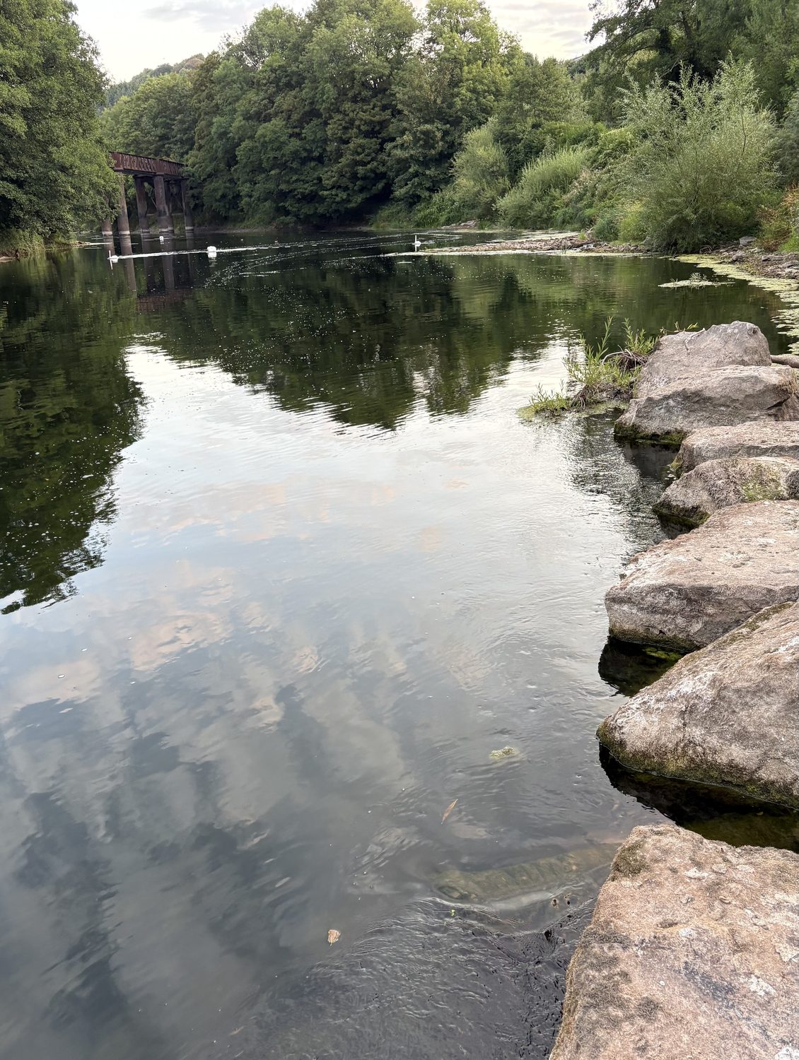The view up up river from the Newlands overflow