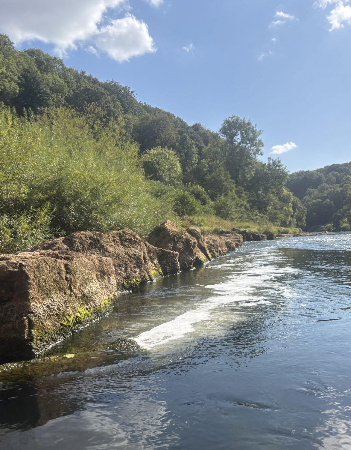 Foam discharging in to the river in Redbrook