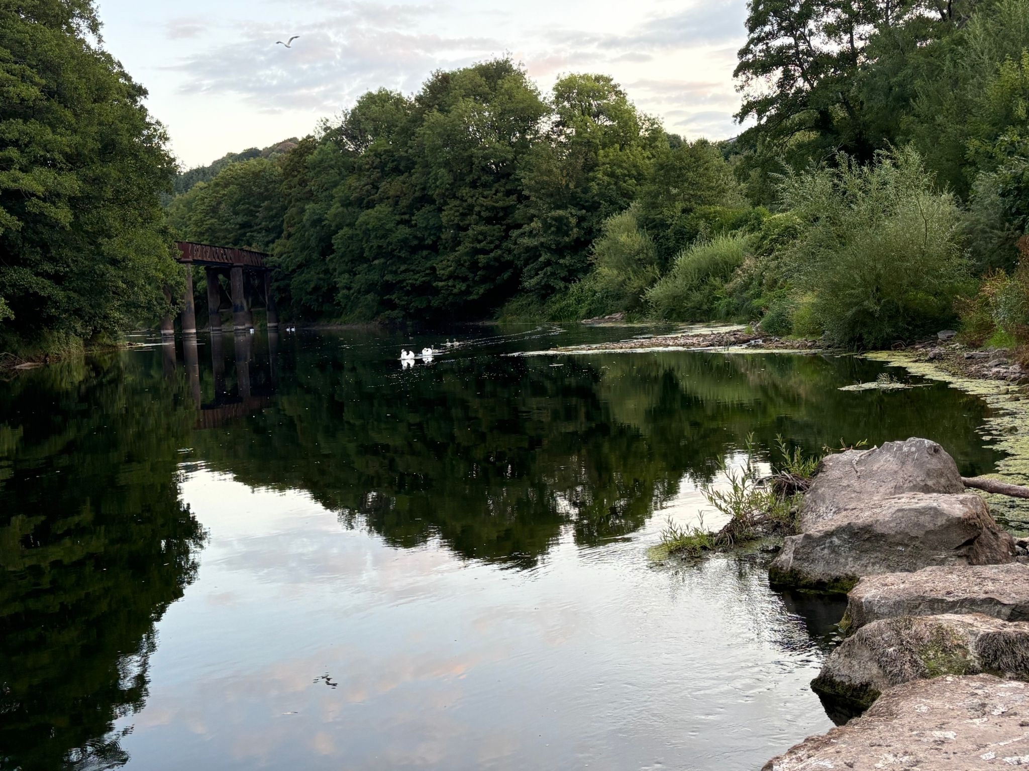 The view up up river from the Newlands overflow